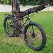 Picture of Surly ECR